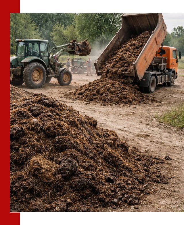 Доставка навоза самосвалами в Каменке для сельхозпотребностей